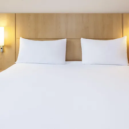 Ibis Braga