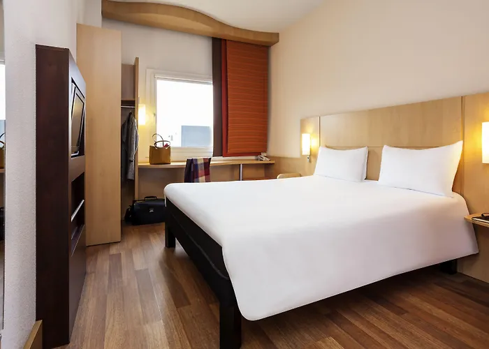 Ibis Braga
